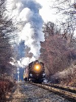 RBMN 425 leads the North Reading Santa Train northbound through Berne Township, PA